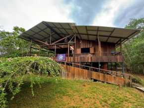 Casa Nutria